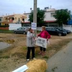 Sul Informação - Manifestantes e equídeos à porta da DGAV para pedir atuação no caso dos cavalos famintos