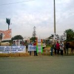 Sul Informação - Manifestantes e equídeos à porta da DGAV para pedir atuação no caso dos cavalos famintos