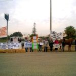 Sul Informação - Manifestantes e equídeos à porta da DGAV para pedir atuação no caso dos cavalos famintos