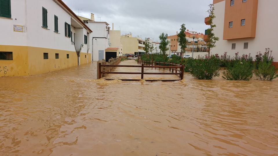 Algoz - foto de Márcio Baptista