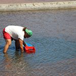 Sul Informação - “Spa” natural da Salina da Barquinha é sucesso turístico em Castro Marim (com fotos)