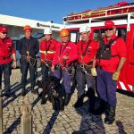 Sul Informação - Bombeiros de Lagoa resgatam cão que caiu em algar na Senhora da Rocha