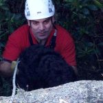 Sul Informação - Bombeiros de Lagoa resgatam cão que caiu em algar na Senhora da Rocha