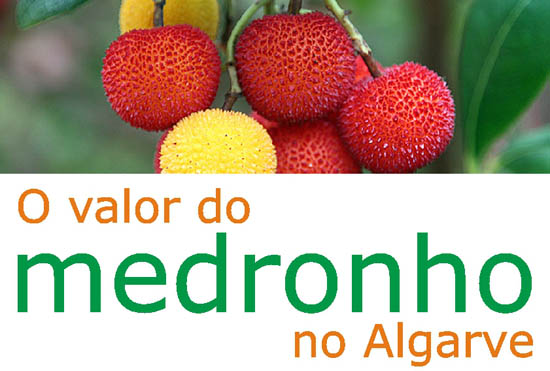 cartaz_seminario_medronho