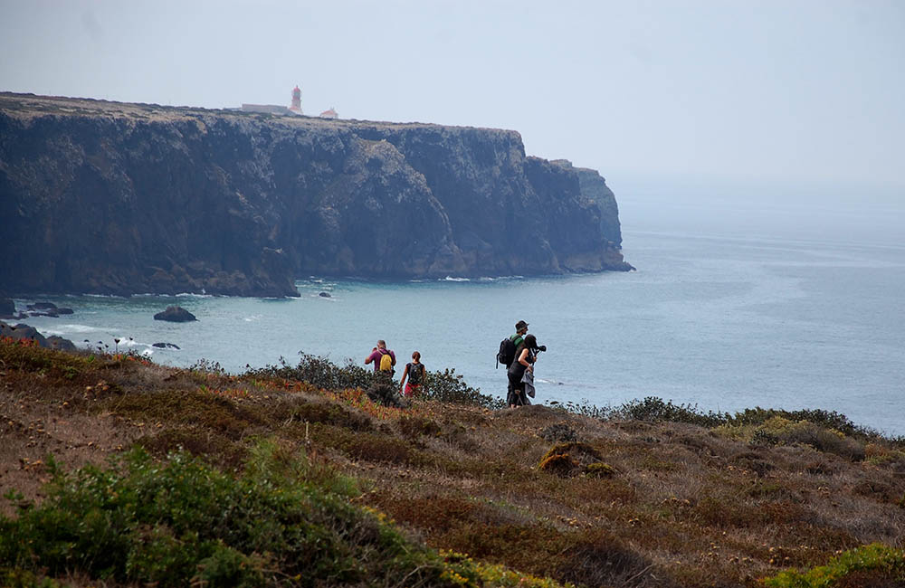 Festival de Observação de Aves Sagres - Foto de Elisabete Rodrigues|Sul Informação