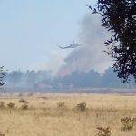 Sul Informação - Incêndio à entrada da cidade de Faro continua por controlar