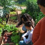 Sul Informação - Alunos de Olhão celebraram a primavera e o Dia da Árvore na Casa João Lúcio