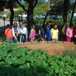 Sul Informação - Alunos de Olhão celebraram a primavera e o Dia da Árvore na Casa João Lúcio