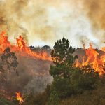 Sul Informação - Bombeiro ferido e viatura destruída, mas fogo começa a dar tréguas em Monchique