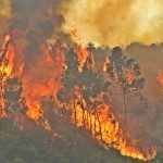 Sul Informação - Bombeiro ferido e viatura destruída, mas fogo começa a dar tréguas em Monchique