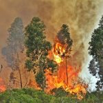 Sul Informação - Bombeiro ferido e viatura destruída, mas fogo começa a dar tréguas em Monchique