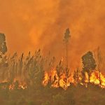 Sul Informação - Bombeiro ferido e viatura destruída, mas fogo começa a dar tréguas em Monchique