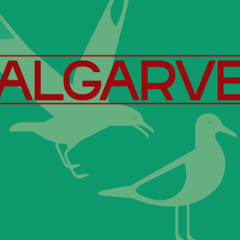 livre tempo de avançar algarve