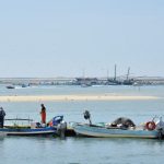 Sul Informação - FOTOS|VÍDEO: Barcos saíram à Ria Formosa em protesto contra as demolições