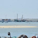 Sul Informação - FOTOS|VÍDEO: Barcos saíram à Ria Formosa em protesto contra as demolições