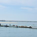 Sul Informação - FOTOS|VÍDEO: Barcos saíram à Ria Formosa em protesto contra as demolições