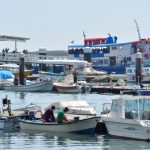 Sul Informação - FOTOS|VÍDEO: Barcos saíram à Ria Formosa em protesto contra as demolições