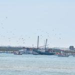 Sul Informação - FOTOS|VÍDEO: Barcos saíram à Ria Formosa em protesto contra as demolições