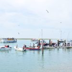 Sul Informação - FOTOS|VÍDEO: Barcos saíram à Ria Formosa em protesto contra as demolições