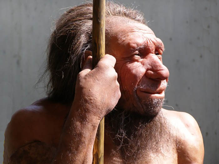 neandertal