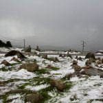 Sul Informação - FOTOGALERIA: Algarvios subiram a Serra para ver a neve em Monchique