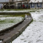 Sul Informação - FOTOGALERIA: Algarvios subiram a Serra para ver a neve em Monchique