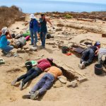 Sul Informação - Cemitério com 900 anos do Rîbat da Arrifana investigado por arqueólogos (com fotos)