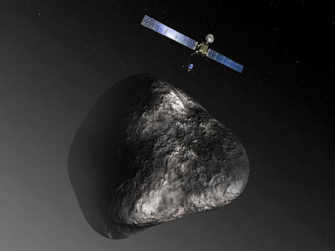 rosetta