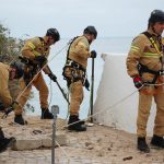 Sul Informação - FOTOGALERIA: Arribas em perigo no Promontório da Senhora da Rocha são alvo de intervenção