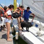 Sul Informação - Surf e vela ajudaram a quebrar barreiras na Praia da Rocha