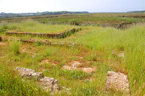 Sul Informação - Villa romana da Abicada não está abandonada…mas parece