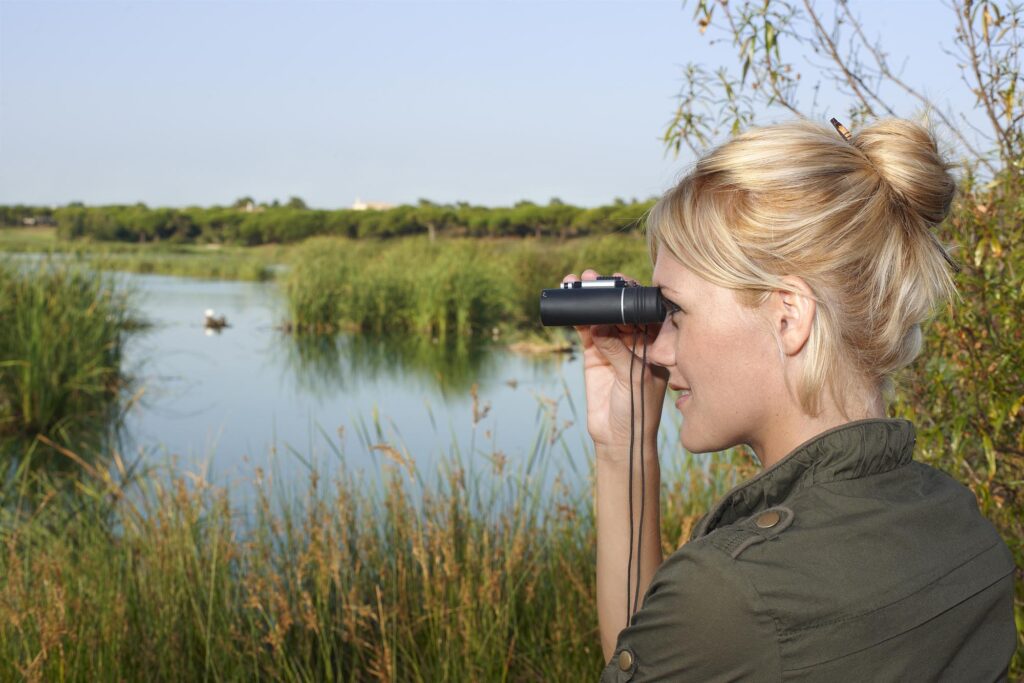 Bird Watching_© Associação de Turismo do Algarve