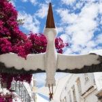 Sul Informação - Cegonha gigante pousou em rua de Faro e já é atração turística [com fotos]