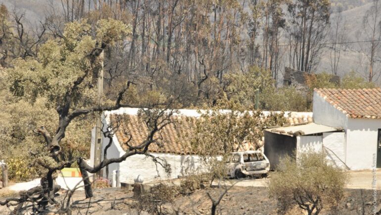 Sul Informação - Cristóvão Norte elogiou resposta do Governo às vítimas do incêndio no Caldeirão