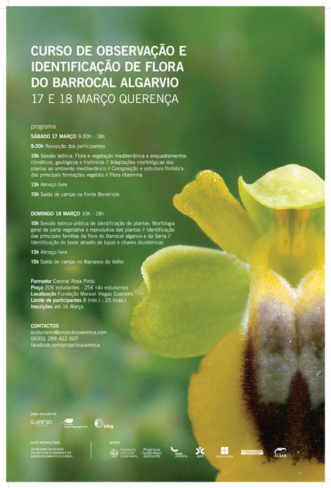 Sul Informação - Projeto Querença promove Curso de Observação e Identificação de Flora