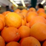 Sul Informação - Mercado Municipal de Portimão dedica semana à laranja algarvia pelo 10º ano consecutivo