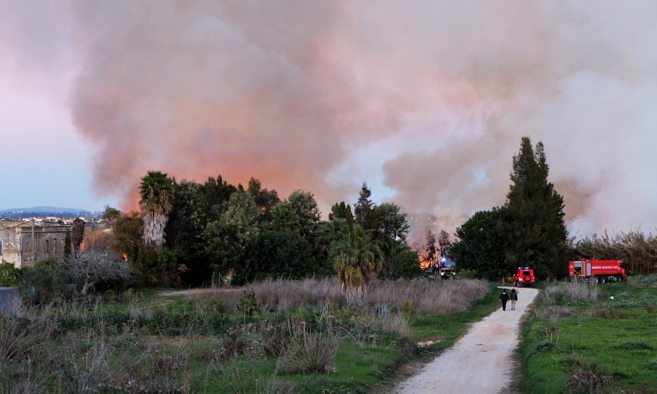 Sul Informação - Incêndio no Rio Seco (Faro) está dominado