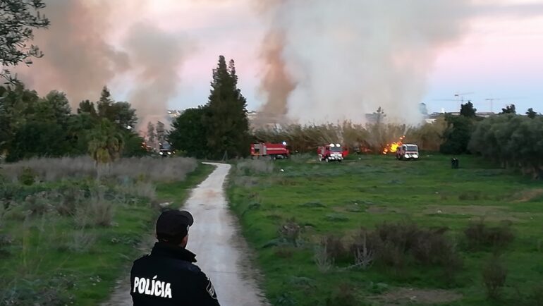 Sul Informação - Faro: Incêndio em canavial junto à Quinta da Senhora Menina está já a ser combatido