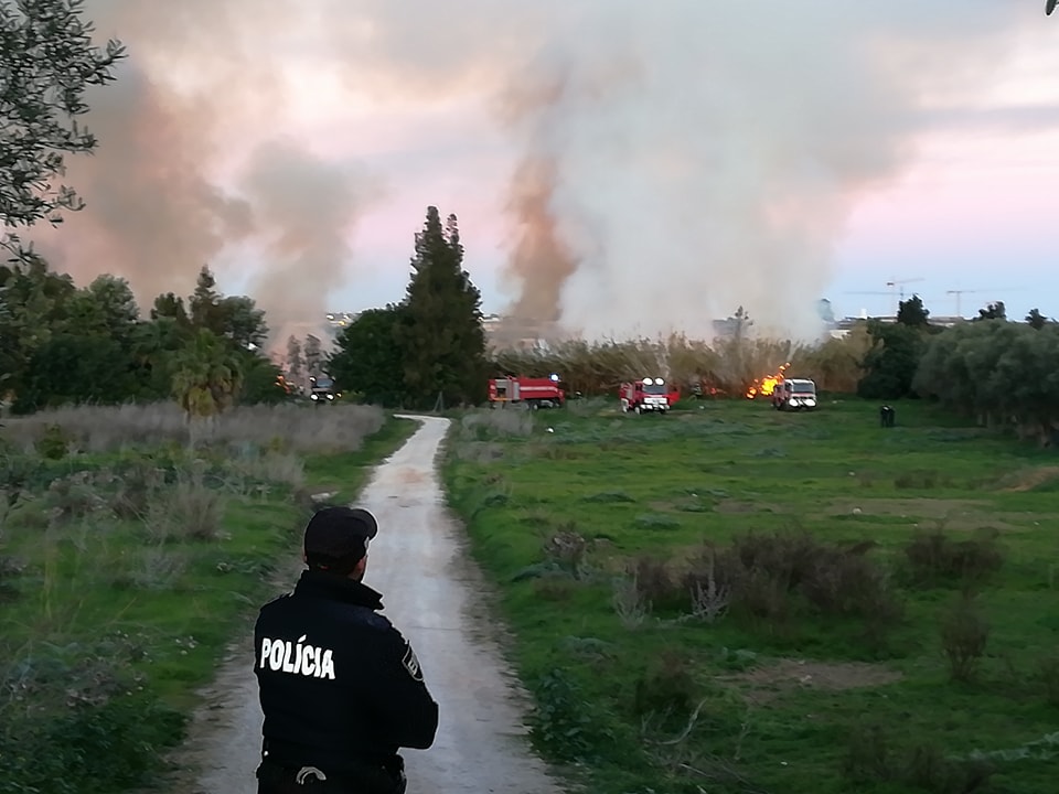 Sul Informação - Faro: Incêndio em canavial junto à Quinta da Senhora Menina está já a ser combatido