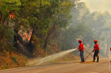 Sul Informação - Incêndio de São Brás de Alportel reduzido às frentes de Javali/Cova da Muda e Malhada do Judeu (atualizado)