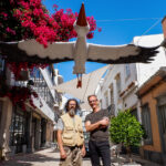 Sul Informação - Cegonha gigante pousou em rua de Faro e já é atração turística [com fotos]