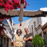 Sul Informação - Cegonha gigante pousou em rua de Faro e já é atração turística [com fotos]