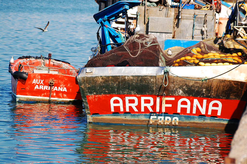 Sul Informação - Deputado Cristóvão Norte questiona ministra do Mar sobre atrasos dos subsídios da sardinha