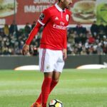 Sul Informação - Fotogaleria: Portimonense não conseguiu fazer história e a festa foi do Benfica