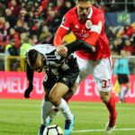 Sul Informação - Fotogaleria: Portimonense não conseguiu fazer história e a festa foi do Benfica