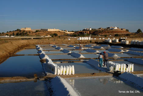 Sul Informação - Cooperativa “Terras de Sal” conquista 1º Concurso Nacional de Sal, Ervas Aromáticas e Condimentos