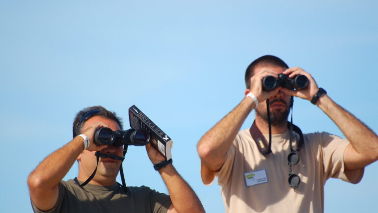 Sul Informação - Festival de Observação de Aves de Sagres termina este domingo com muitas atividades