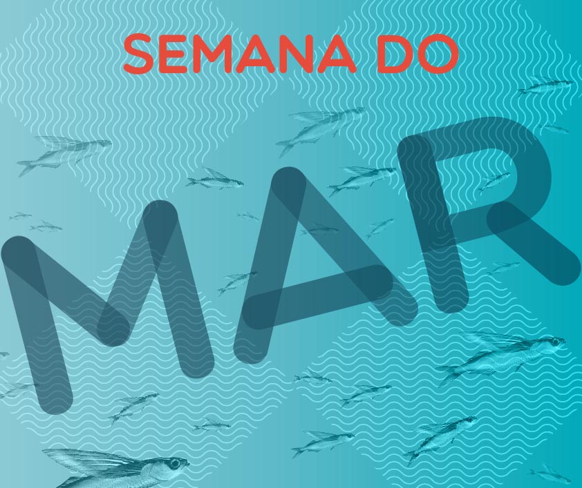 Sul Informação - Lagos dedica uma semana inteirinha ao Mar