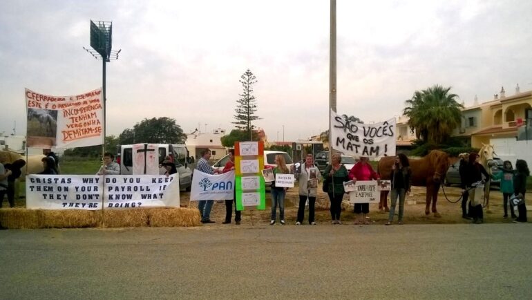 Sul Informação - Manifestantes e equídeos à porta da DGAV para pedir atuação no caso dos cavalos famintos