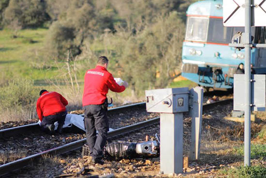 Sul Informação - Idoso morre na passagem de nível de Estômbar (com fotos)